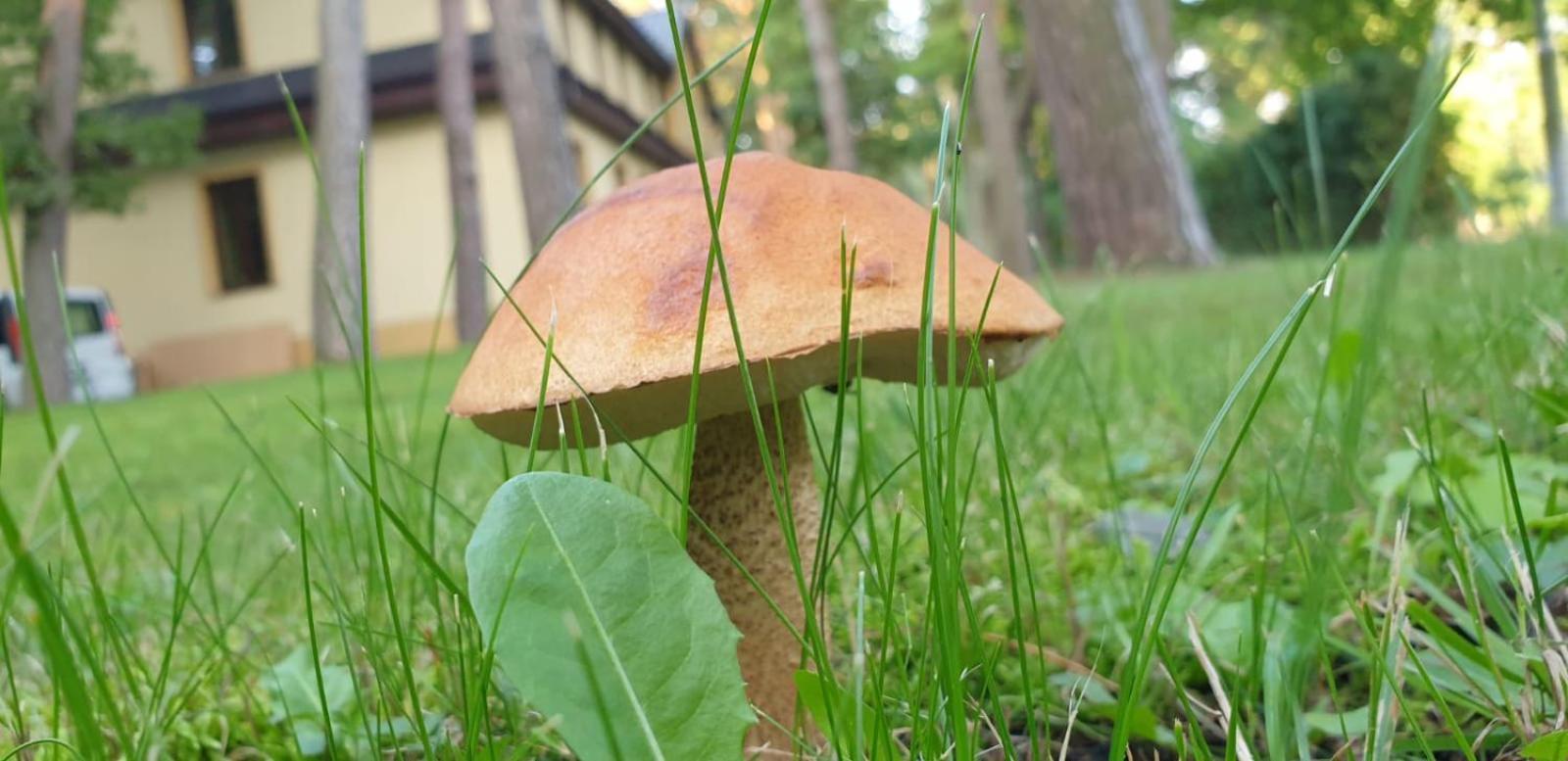 Villa Toskana Pogorzelica  Luaran gambar