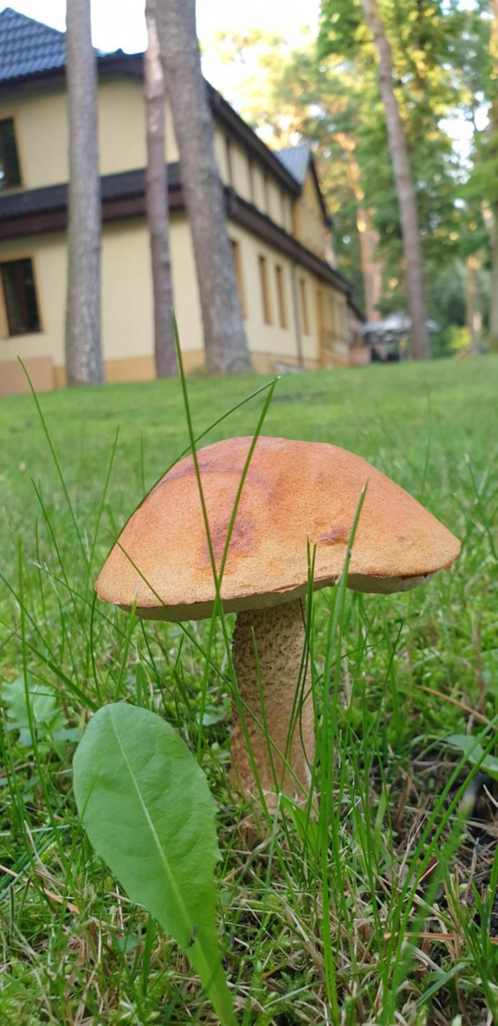 Villa Toskana Pogorzelica  Luaran gambar