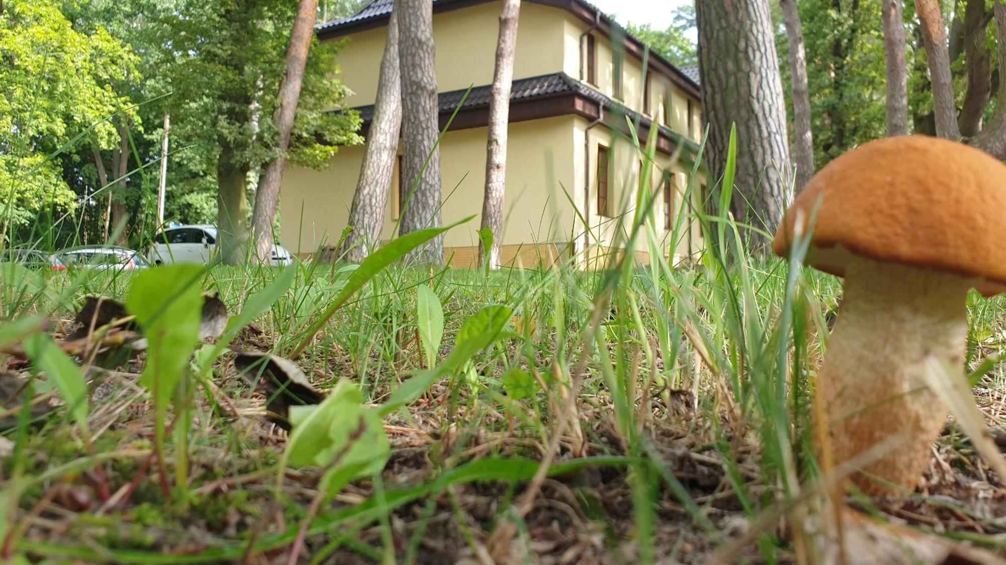 Villa Toskana Pogorzelica  Luaran gambar